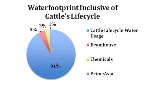 Prime Asia Water Use (Inc Cattle Lifecycle)